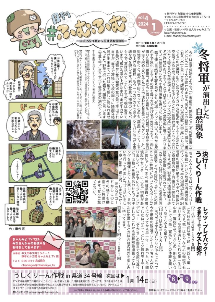 冬将軍が演出した自然現象