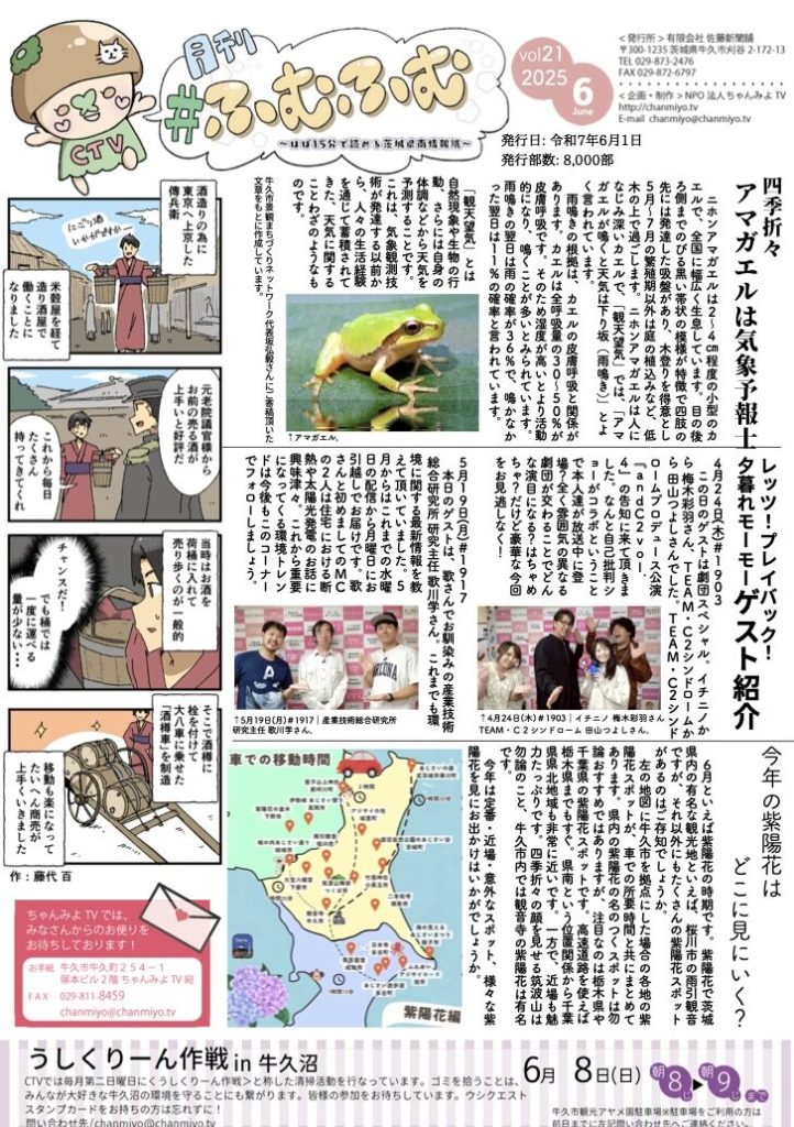 今年の紫陽花はどこに見にいく？