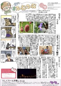 秋の夜に灯る、希望とつながりの光