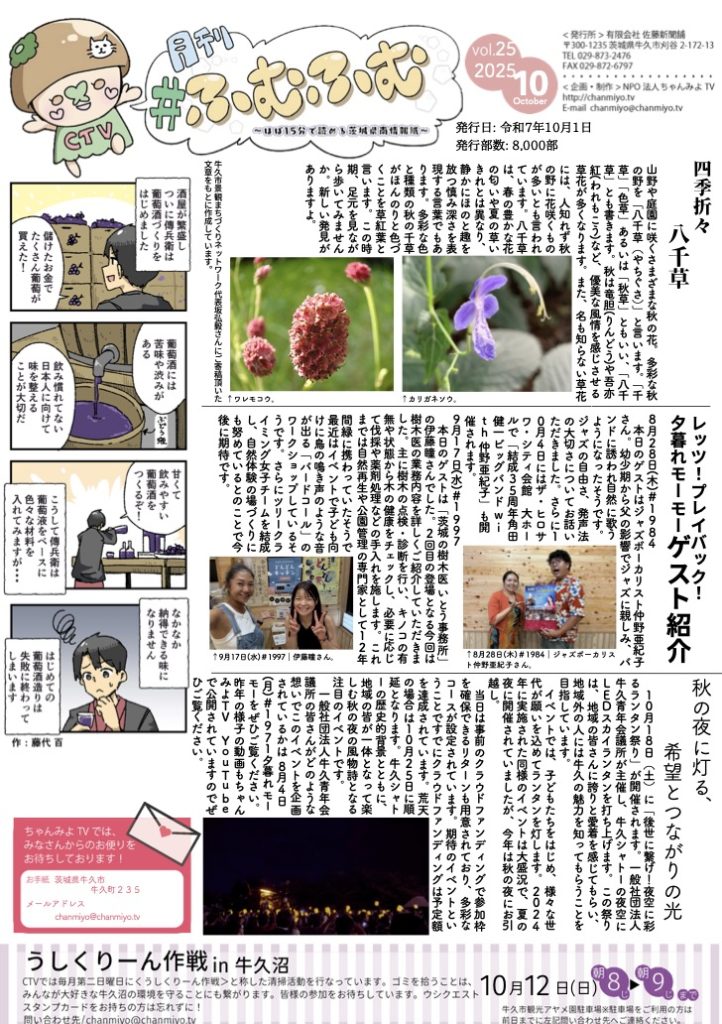 秋の夜に灯る、希望とつながりの光