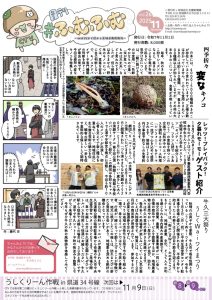 四季折々 変なキノコ特集と牛久三大祭り「うしくWaiワイまつり」情報満載！