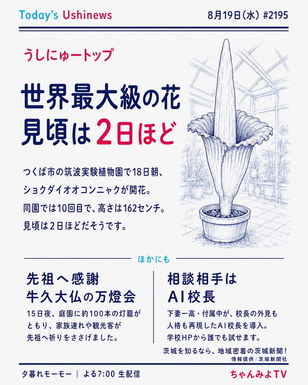 うしにゅーカード #2195